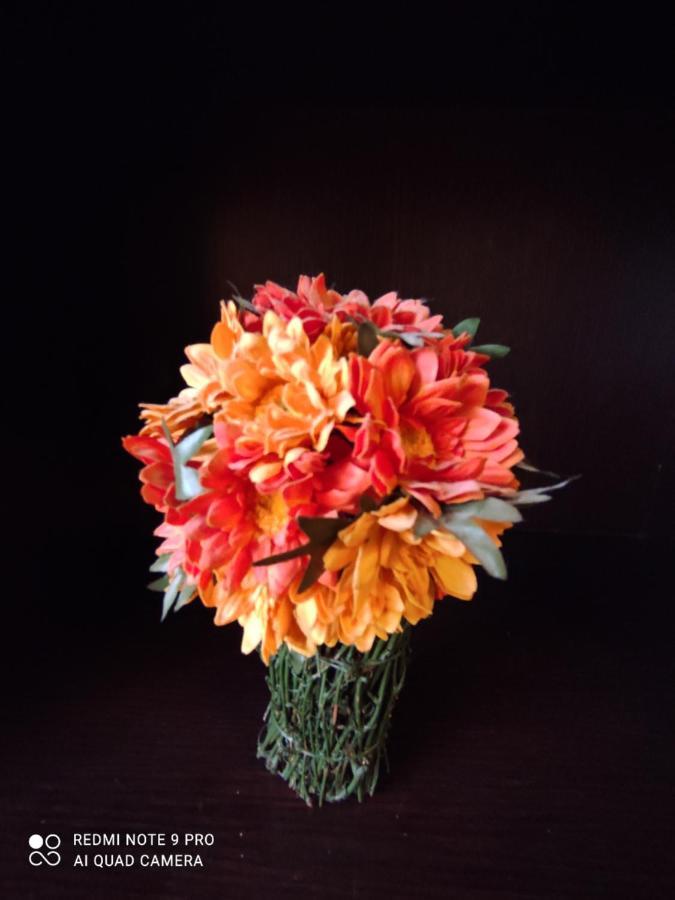 Il Giglio Di Careggi Apartment Florence Ngoại thất bức ảnh