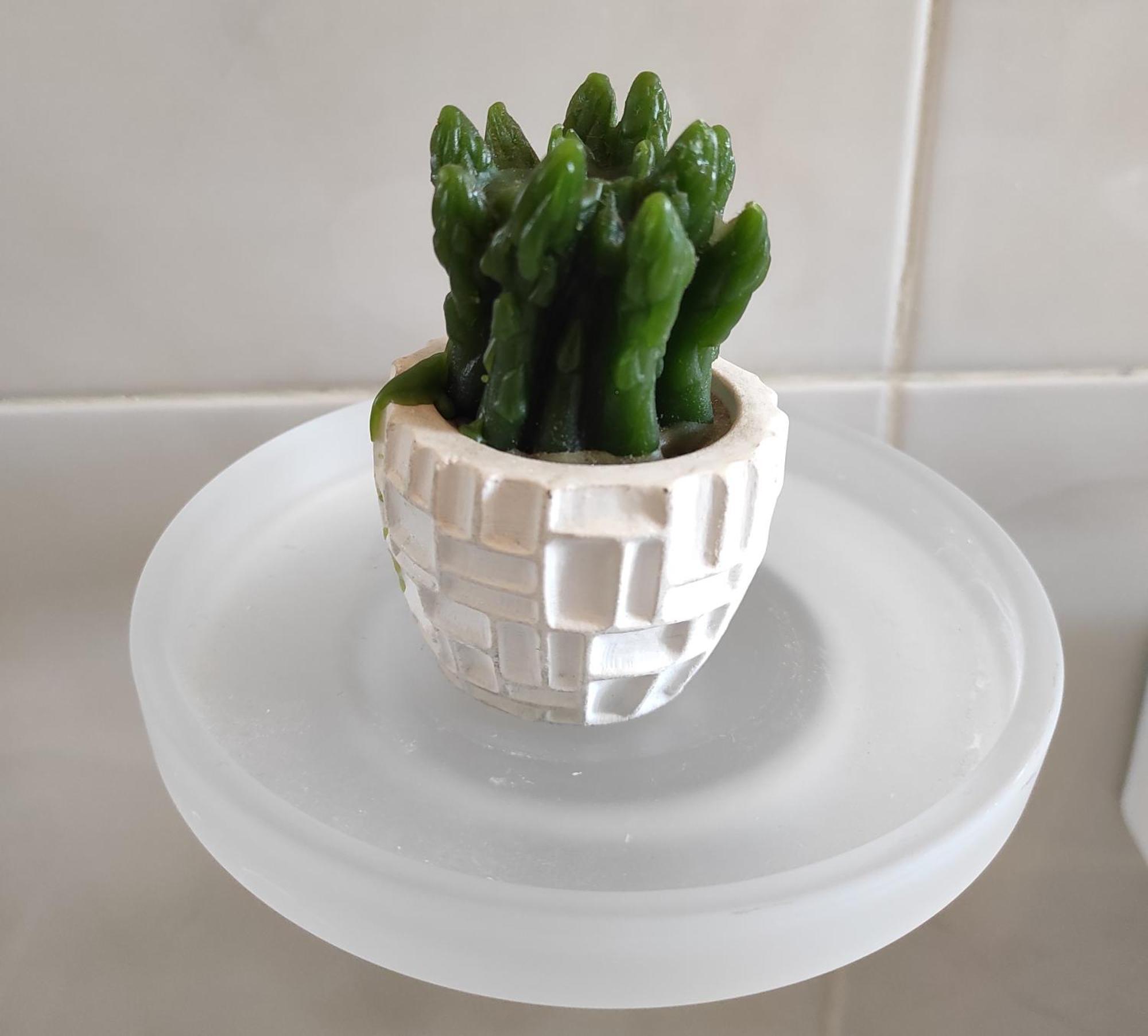 Il Giglio Di Careggi Apartment Florence Ngoại thất bức ảnh